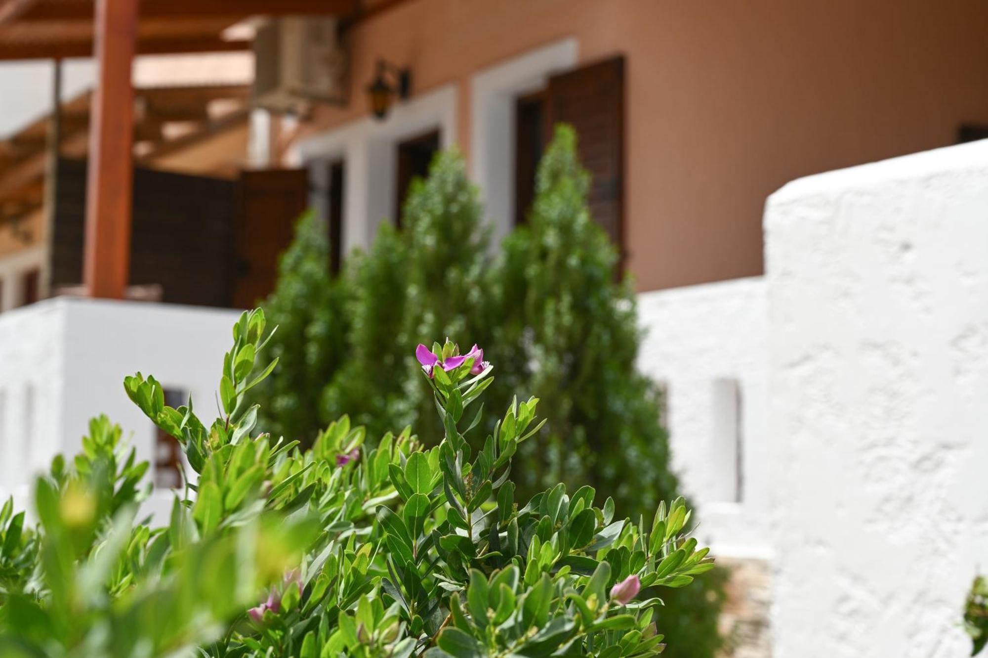 Ferienwohnung Garden House Xerokampos Xerokampos  Exterior foto